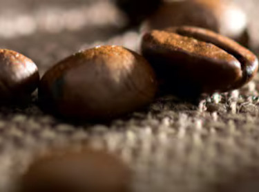 Gr&atilde;os de caf&eacute; org&acirc;nicos