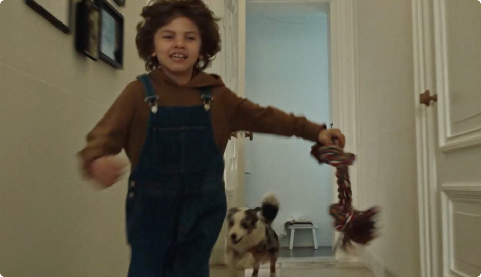 Animais de estima&ccedil;&atilde;o